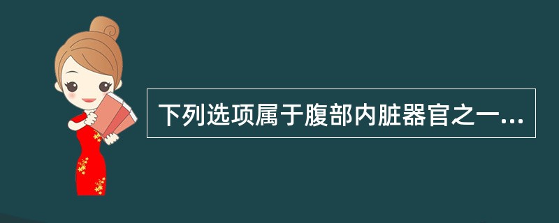 下列选项属于腹部内脏器官之一的是（）。