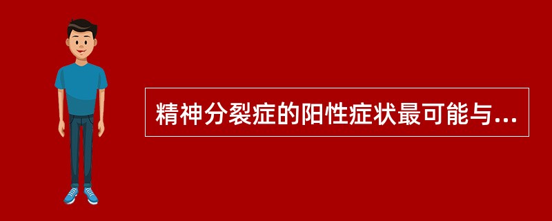 精神分裂症的阳性症状最可能与以下哪种因素有关