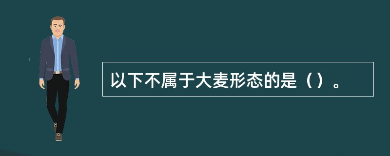 以下不属于大麦形态的是（）。