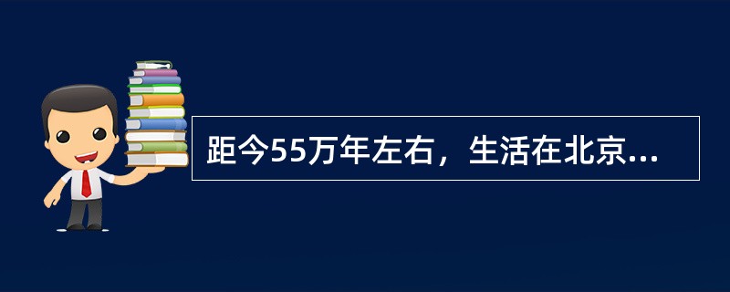 距今55万年左右，生活在北京西南周口店一带的（）已经会用火。