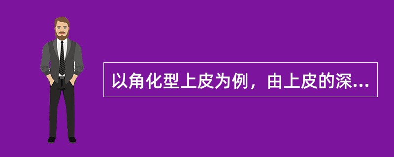 以角化型上皮为例，由上皮的深面至浅面可分为（）、（）、（）和（）等四层