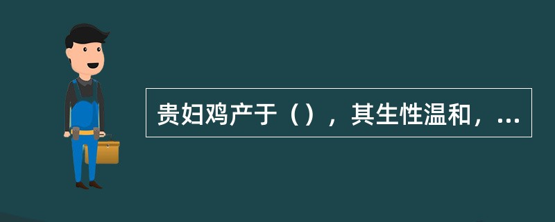 贵妇鸡产于（），其生性温和，头戴凤冠，身披蓝黑相间白花羽，跚跚举步，华贵雍雅，犹