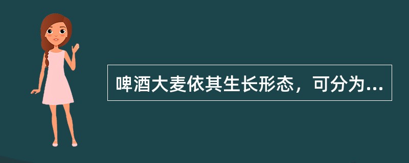 啤酒大麦依其生长形态，可分为（）大麦和多棱大麦；依其播种季节可分为（）和冬大麦。