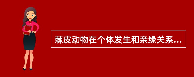 棘皮动物在个体发生和亲缘关系上最接近于（）。