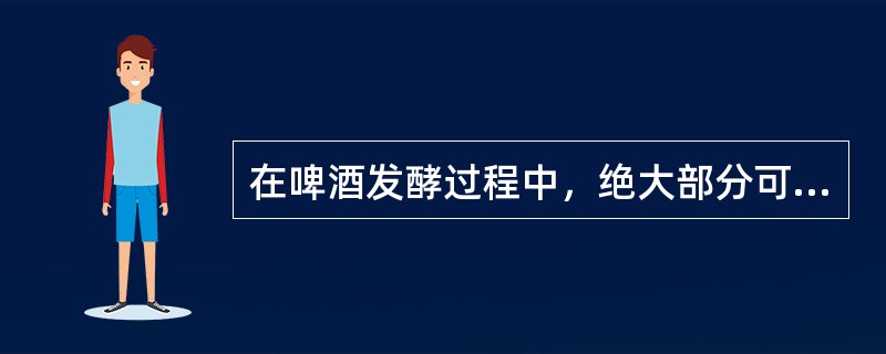 在啤酒发酵过程中，绝大部分可发酵性糖类，被分解为最终产物：乙醇和二氧化碳。