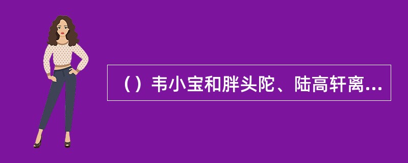 （）韦小宝和胖头陀、陆高轩离开神龙岛乘船至何处弃船登岸？