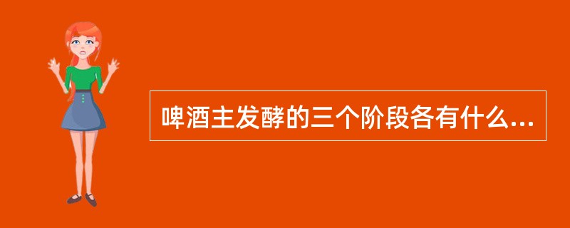 啤酒主发酵的三个阶段各有什么特点？