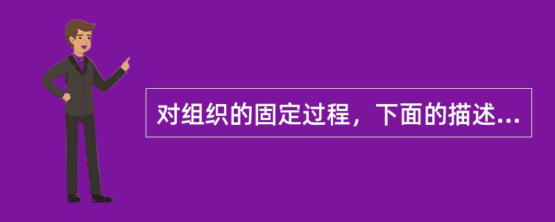 对组织的固定过程，下面的描述不正确的是（）。