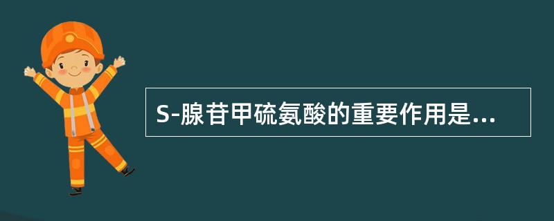 S-腺苷甲硫氨酸的重要作用是（）。