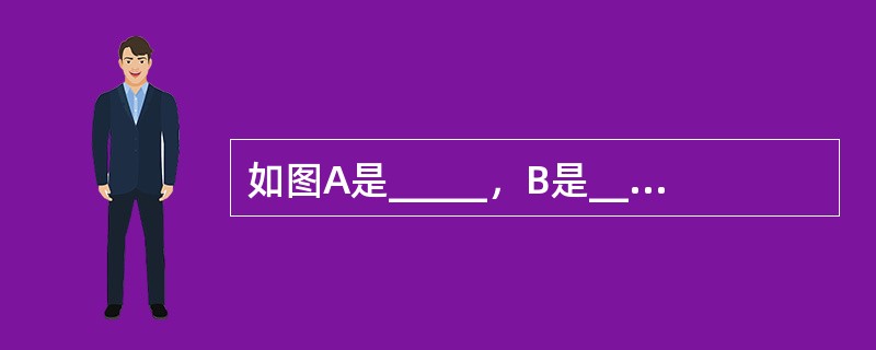 如图A是_____，B是____，_C是____，_E是____，F是____。
