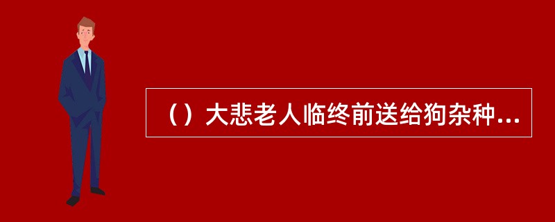 （）大悲老人临终前送给狗杂种的玩偶身上用什么线绘出了脉络走向？