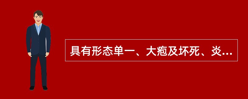 具有形态单一、大疱及坏死、炎症较重表现的是