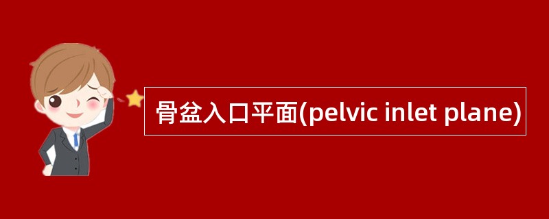 骨盆入口平面(pelvic inlet plane)