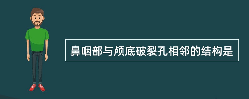 鼻咽部与颅底破裂孔相邻的结构是