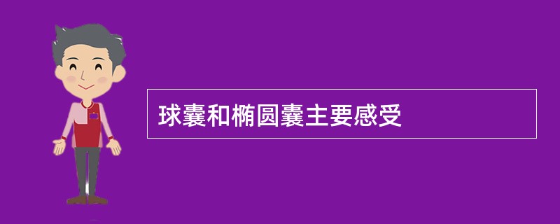 球囊和椭圆囊主要感受