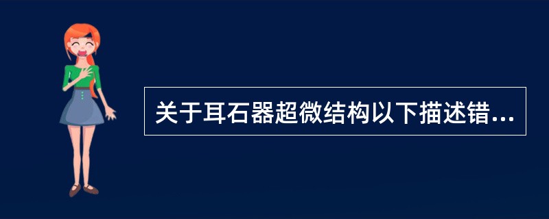 关于耳石器超微结构以下描述错误的是