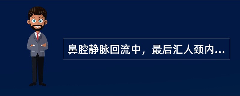 鼻腔静脉回流中，最后汇人颈内、外静脉的静脉是