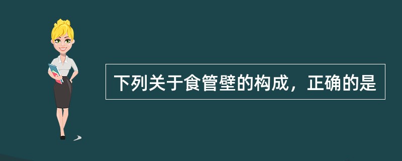 下列关于食管壁的构成，正确的是