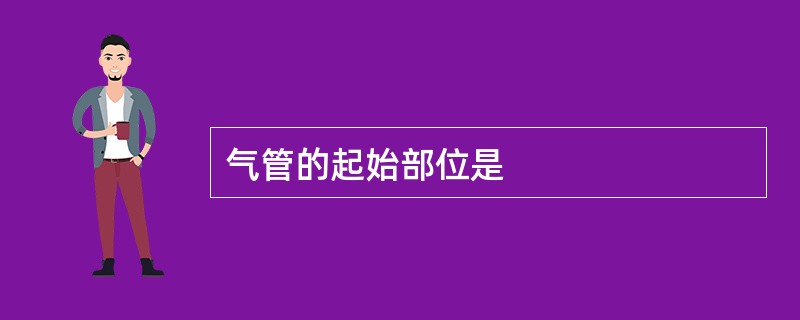 气管的起始部位是