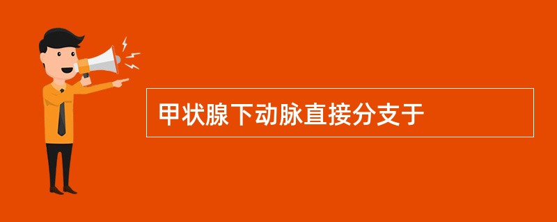 甲状腺下动脉直接分支于