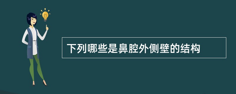下列哪些是鼻腔外侧壁的结构