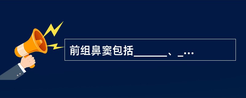 前组鼻窦包括______、______和______，窦口位于______；后组