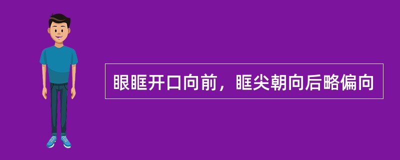 眼眶开口向前，眶尖朝向后略偏向