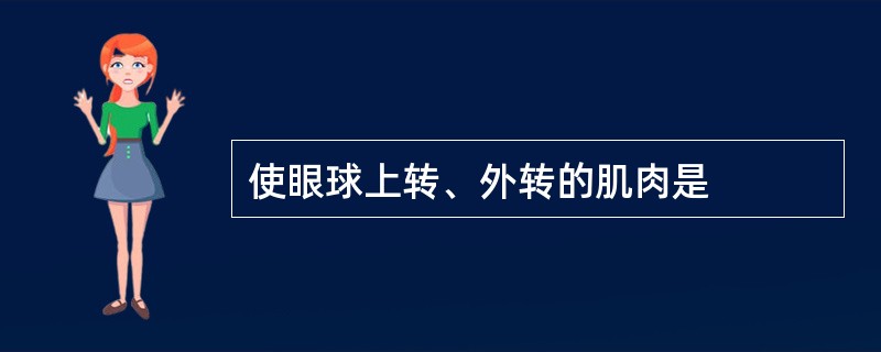 使眼球上转、外转的肌肉是