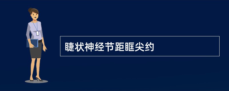 睫状神经节距眶尖约