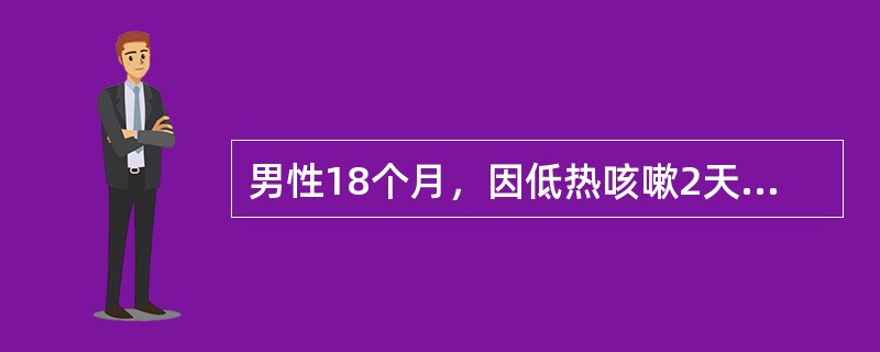 男性18个月，因低热咳嗽2天、气喘1天入院。体格检查：T37．7℃，咽充血，两肺