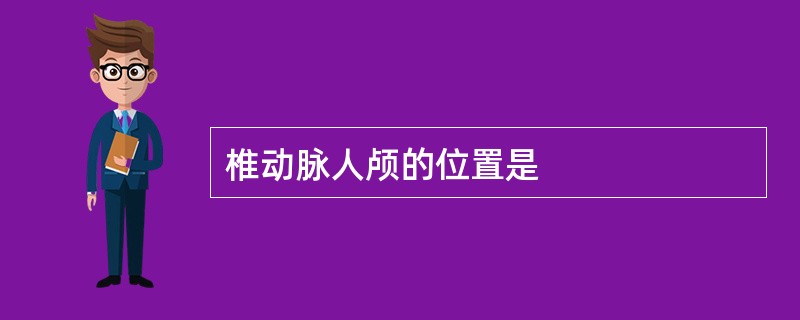 椎动脉人颅的位置是
