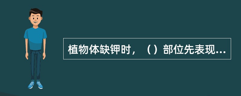 植物体缺钾时，（）部位先表现出缺素症状。