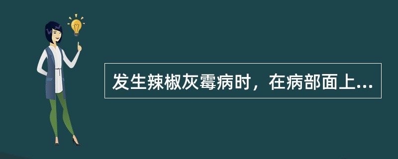发生辣椒灰霉病时，在病部面上长一层（）霉状物。