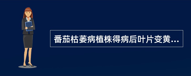 番茄枯萎病植株得病后叶片变黄，潮湿时常在茎基部生（）霉状。