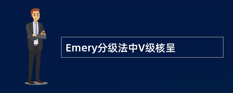 Emery分级法中V级核呈