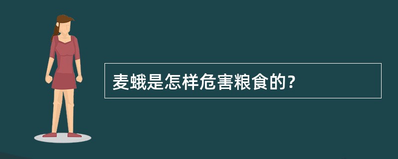 麦蛾是怎样危害粮食的？