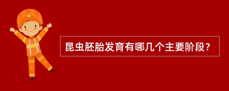 昆虫胚胎发育有哪几个主要阶段？