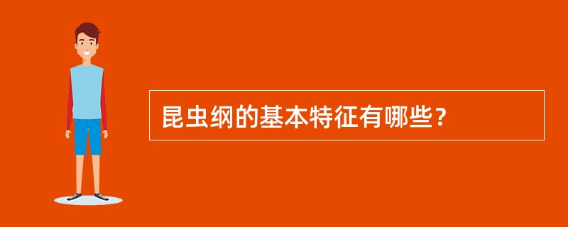 昆虫纲的基本特征有哪些？