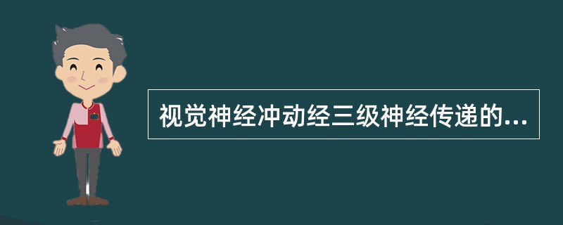 视觉神经冲动经三级神经传递的顺序是