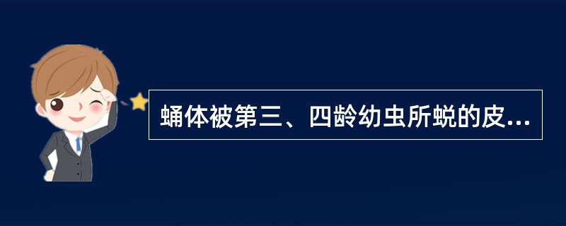 蛹体被第三、四龄幼虫所蜕的皮共同构成的蛹壳所包围，这种蛹为（）