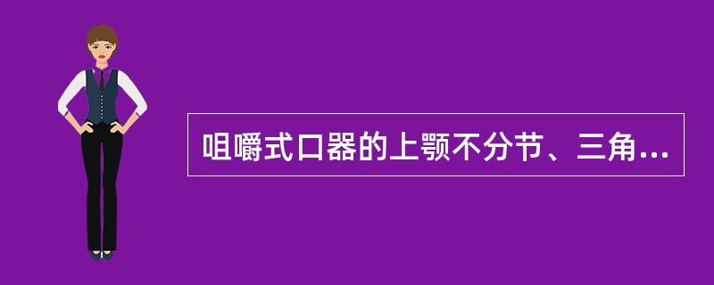 咀嚼式口器的上颚不分节、三角形、坚硬，由两个前、后关节连接在头壳侧面颊下区的下方