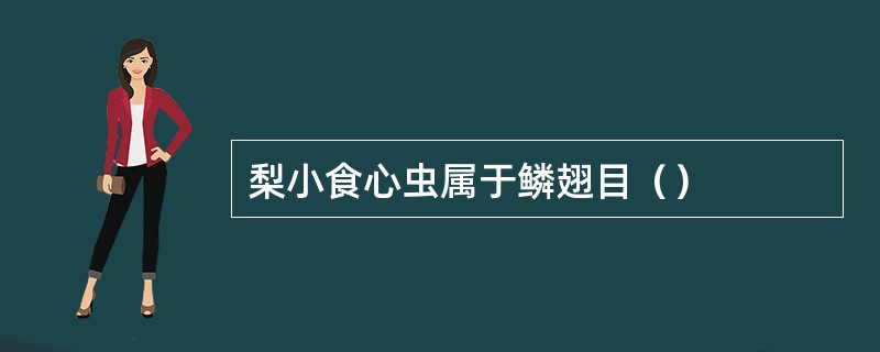 梨小食心虫属于鳞翅目（）