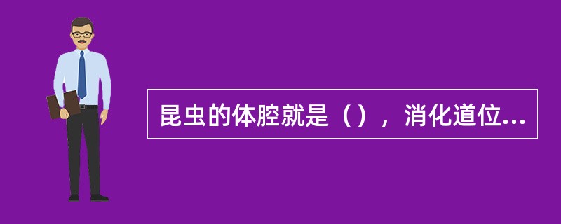 昆虫的体腔就是（），消化道位于体腔的（），循环系统位于（），神经系统位于（）。