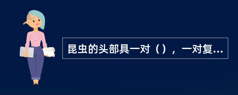 昆虫的头部具一对（），一对复眼，3对口器附肢，分别为（）、（）、（），所以头部成