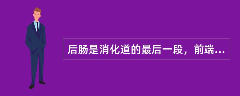 后肠是消化道的最后一段，前端以（）的着生处与中肠分界，后端终止于（），后肠结构，