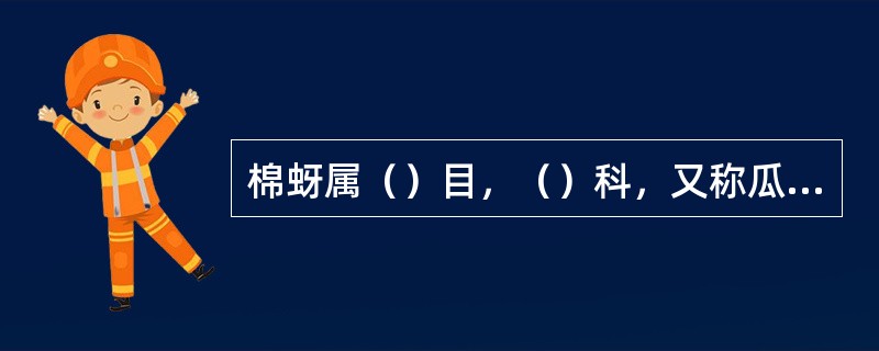 棉蚜属（）目，（）科，又称瓜蚜。