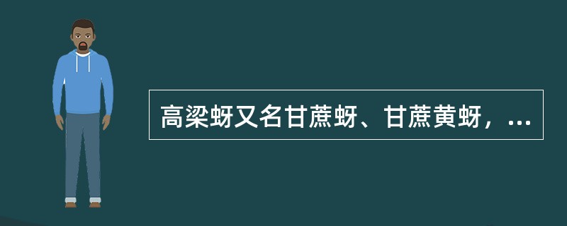 高梁蚜又名甘蔗蚜、甘蔗黄蚜，俗名蜜虫、腻虫、油汗。属（）目、（）科。