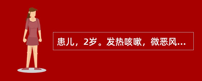 患儿，2岁。发热咳嗽，微恶风寒，喷嚏流涕，咽喉肿痛，两目红赤，泪水汪汪，畏光羞明