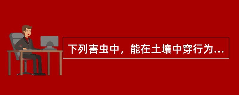 下列害虫中，能在土壤中穿行为害的是（）。