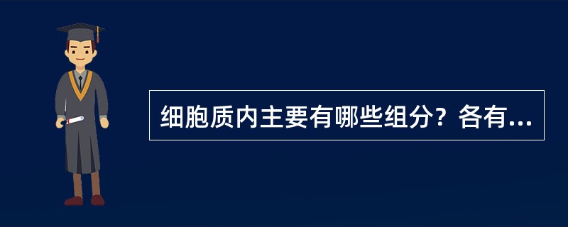 细胞质内主要有哪些组分？各有什么作用？